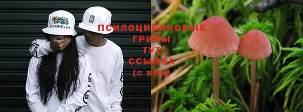 spice Нягань