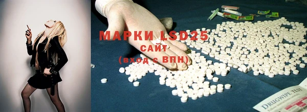 mdma Новозыбков
